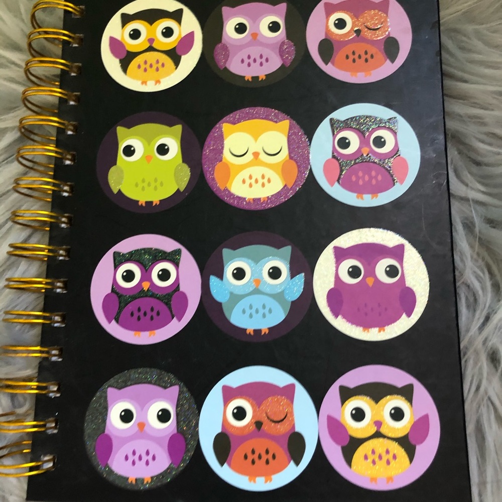 A owl book